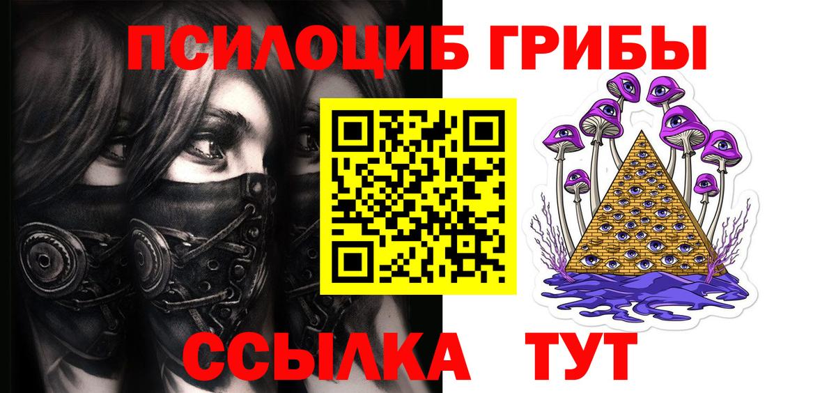 Псилоцибиновые грибы Psilocybine cubensis Будённовск