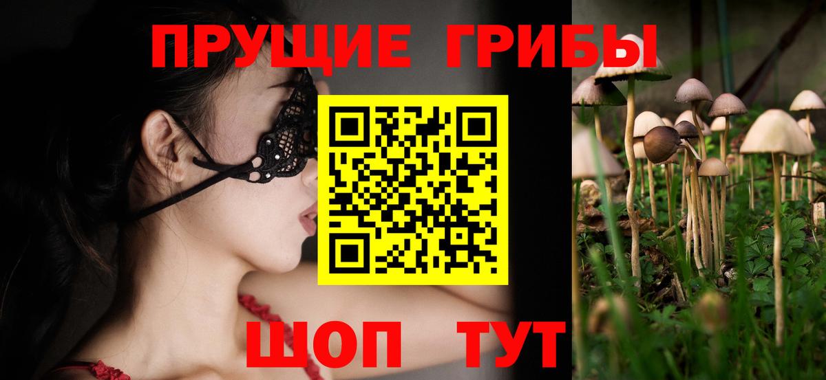 Будённовск  Галлюциногенные грибы мицелий  хочу   Вход с VPN 